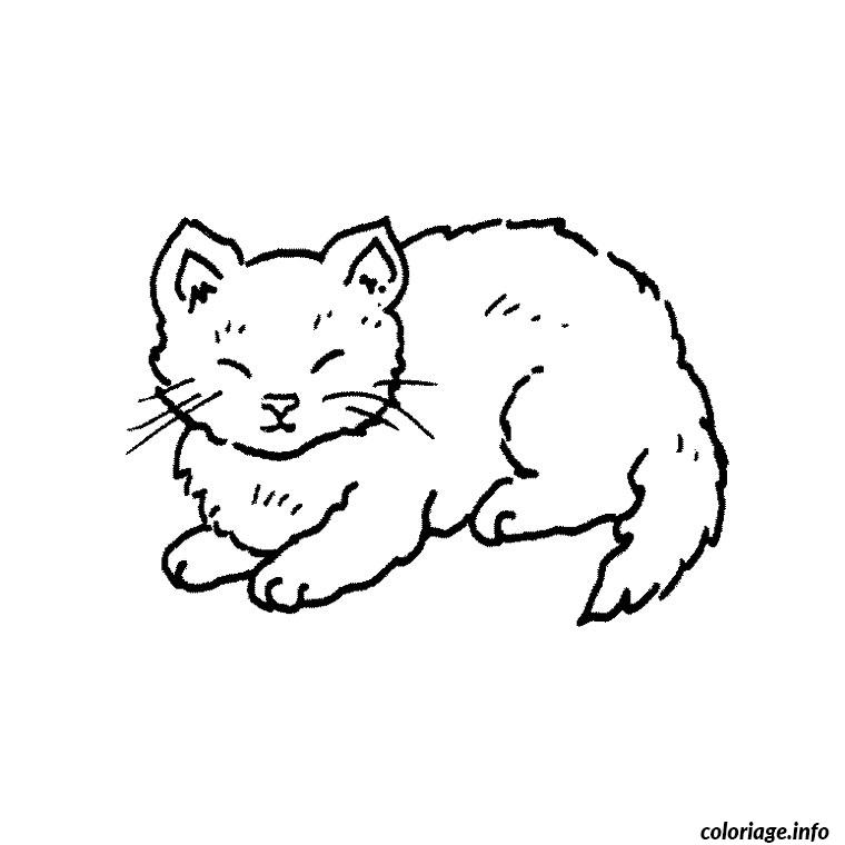Coloriage Bebe Animaux Trop Mignon