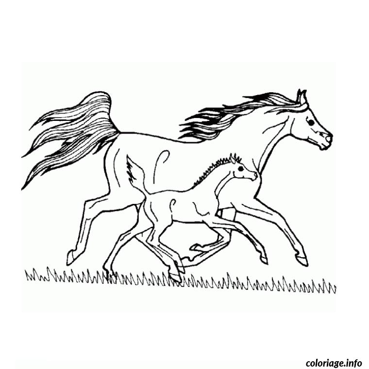 Coloriage cheval grand galop  JeColorie.com