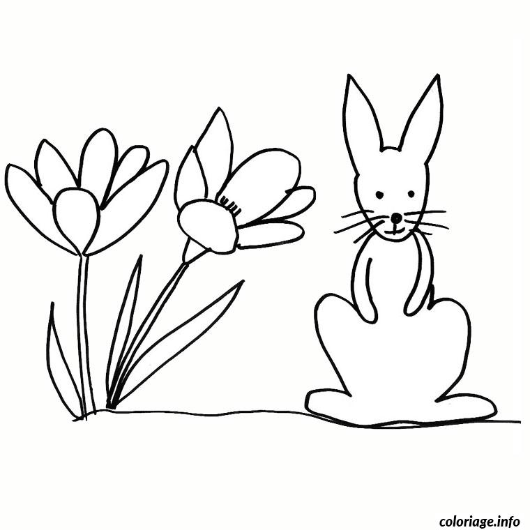 Coloriage A Imprimer Gratuit Lapin