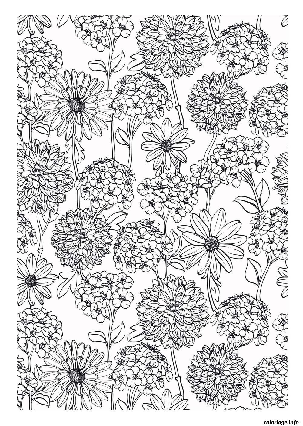 Coloriage Zen A Imprimer Gratuit