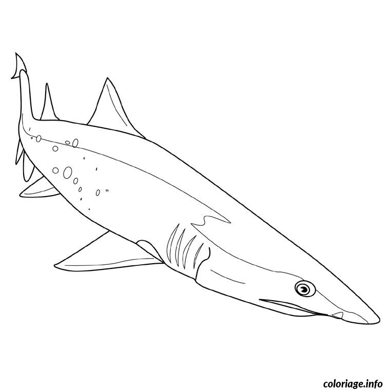 Coloriage Requin Scie Jecolorie Com