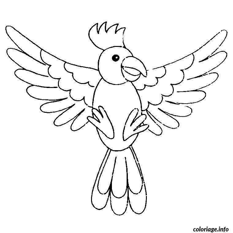 Coloriages Oiseaux Gratuits A Imprimer