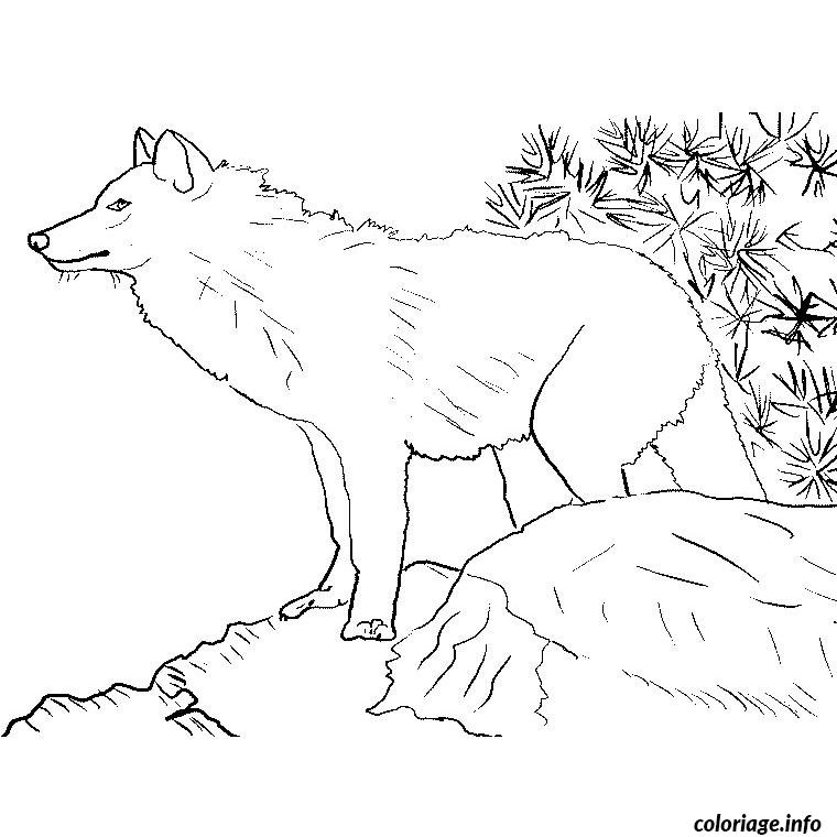 Coloriage De Montagne Gratuit