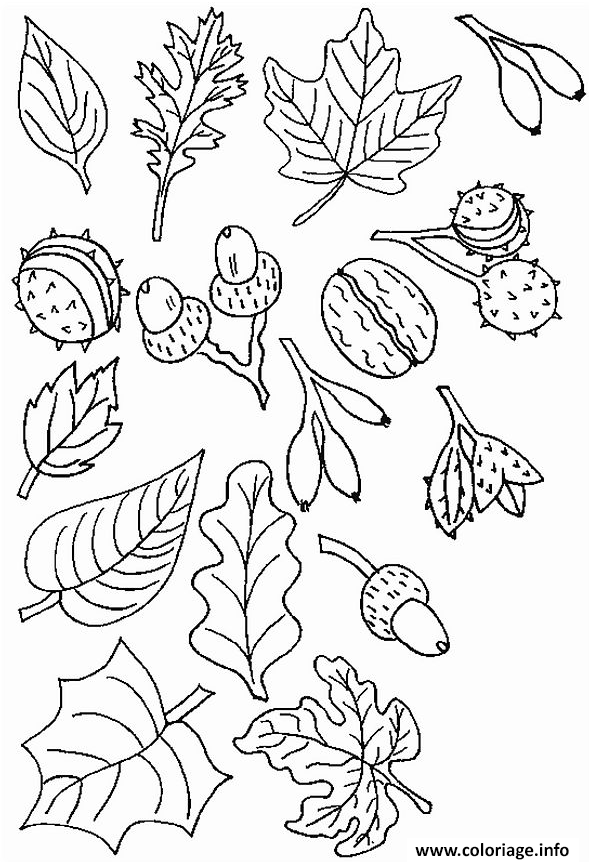 Coloriage D Automne A Imprimer Id es De Coloriage Coloriage D Automne A Imprimer Id es De Coloriage