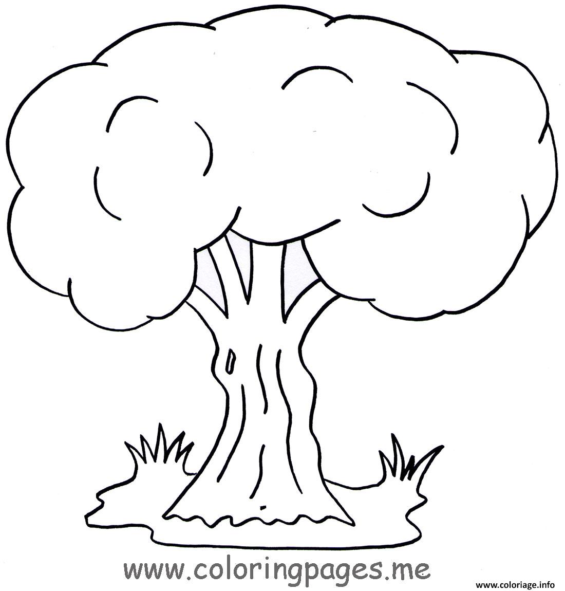 Coloriage Arbre A Imprimer