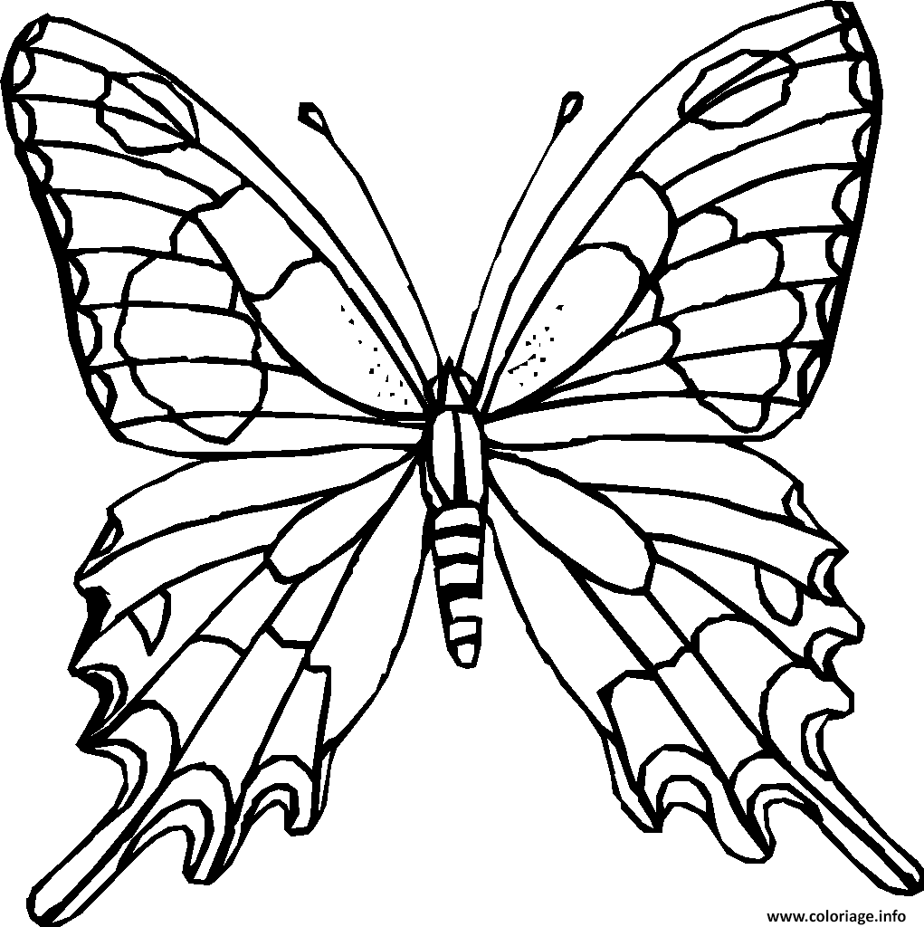 Coloriage papillon 22  JeColorie.com