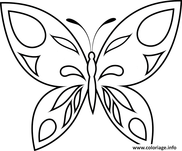 Coloriage A Imprimer Papillon