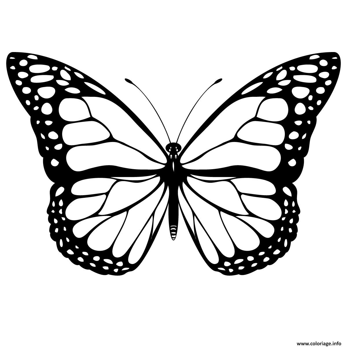 Coloriage papillon 3  JeColorie.com