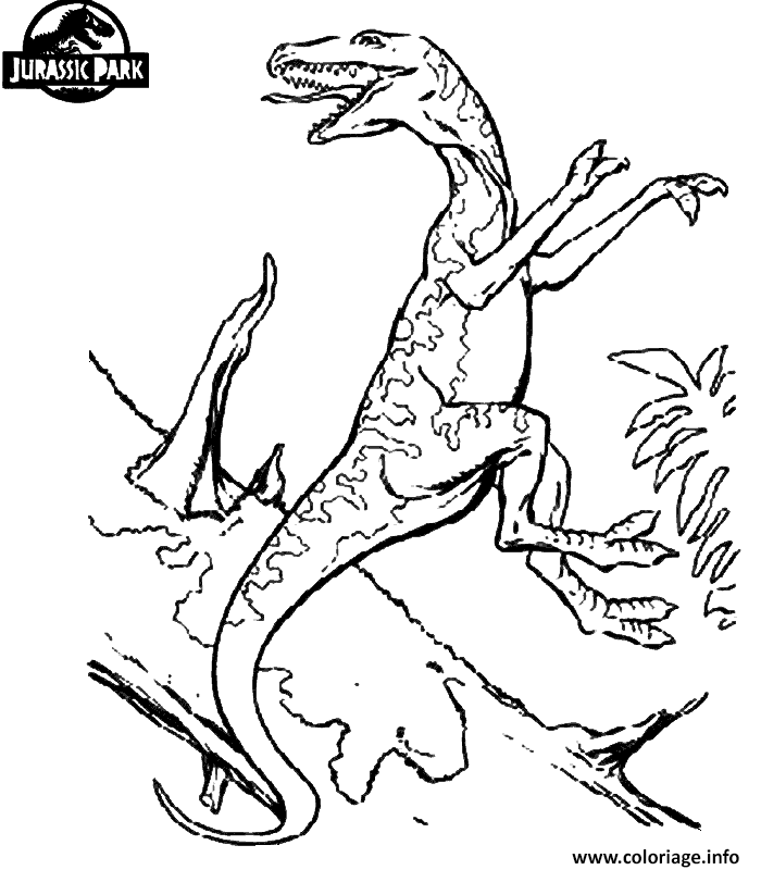 Coloriage Dinosaure 170 dessin