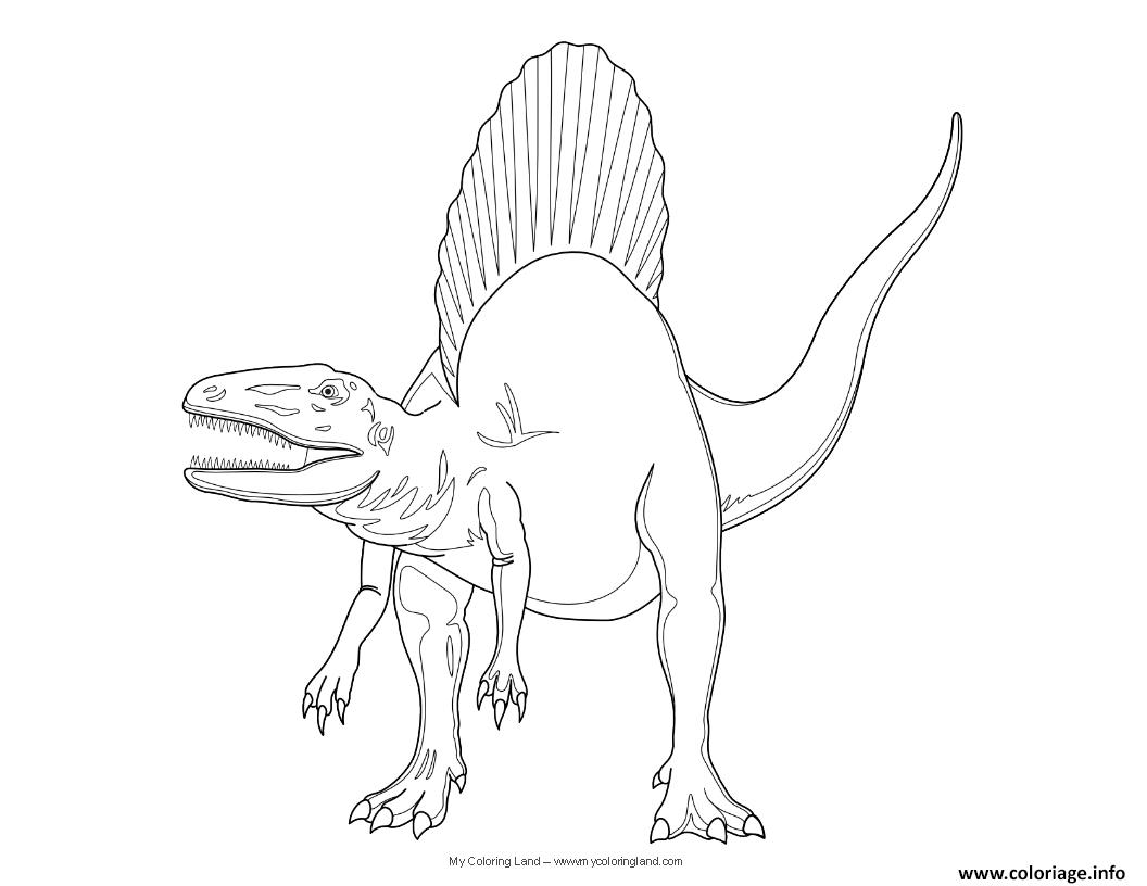 Coloriage Dinosaure Jurassic Park Spinosaurus Dessin   Imprimer