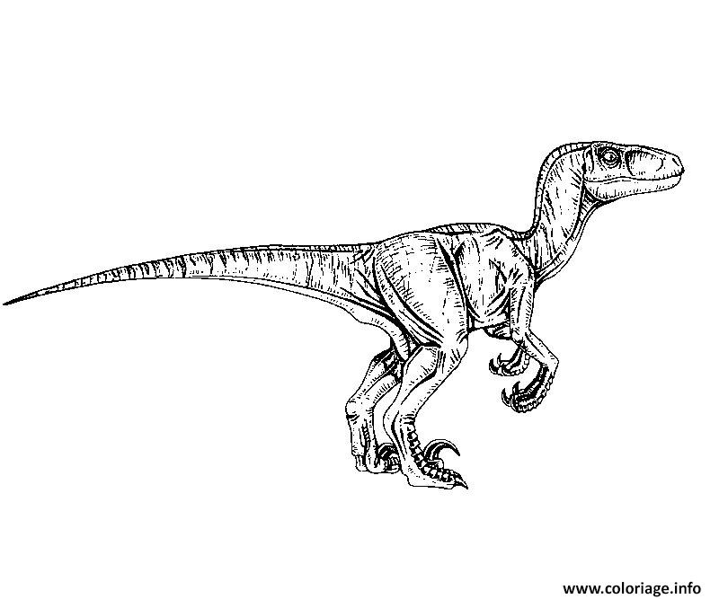 Coloriage Jurassic World Raptor JeColorie