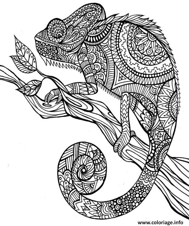 Coloriage Anti Stress Animaux Jungle dessin