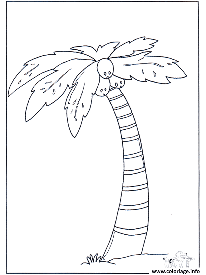 Coloriage A Imprimer De Coco