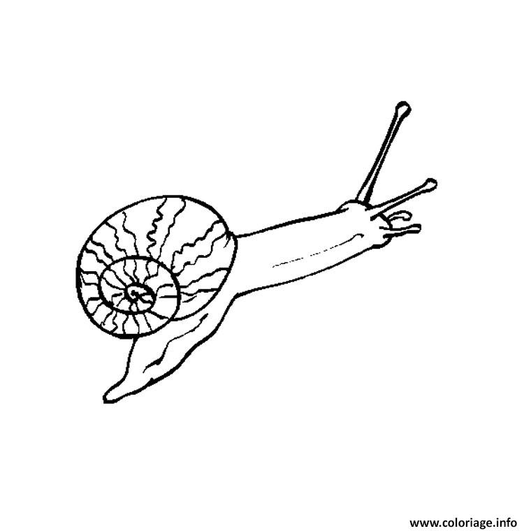 escargot pluie coloriage dessin