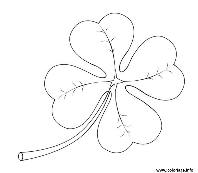 coloriage four leaf clover saint patricks day dessin