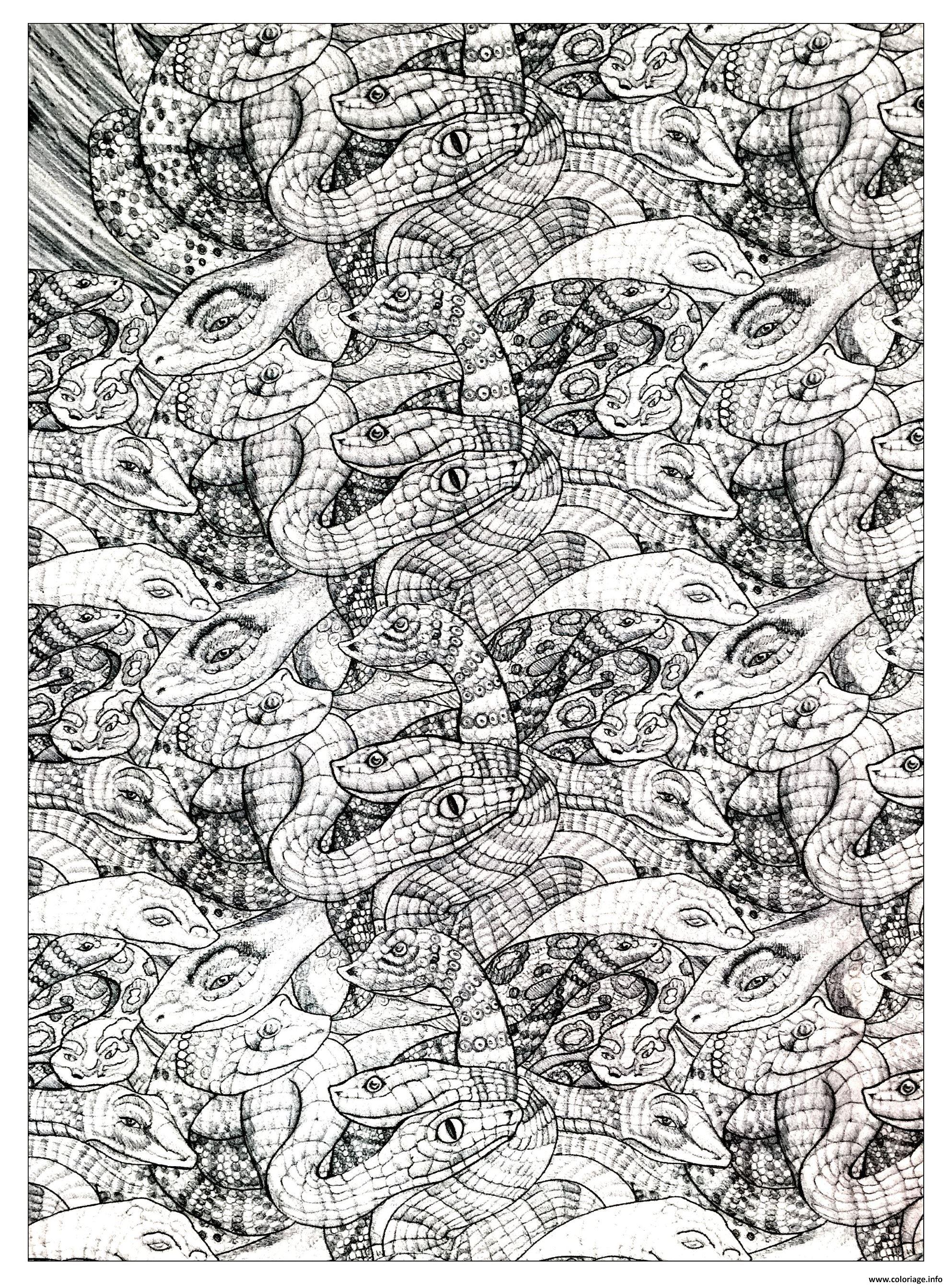 Coloriage De Serpent Anaconda A Imprimer