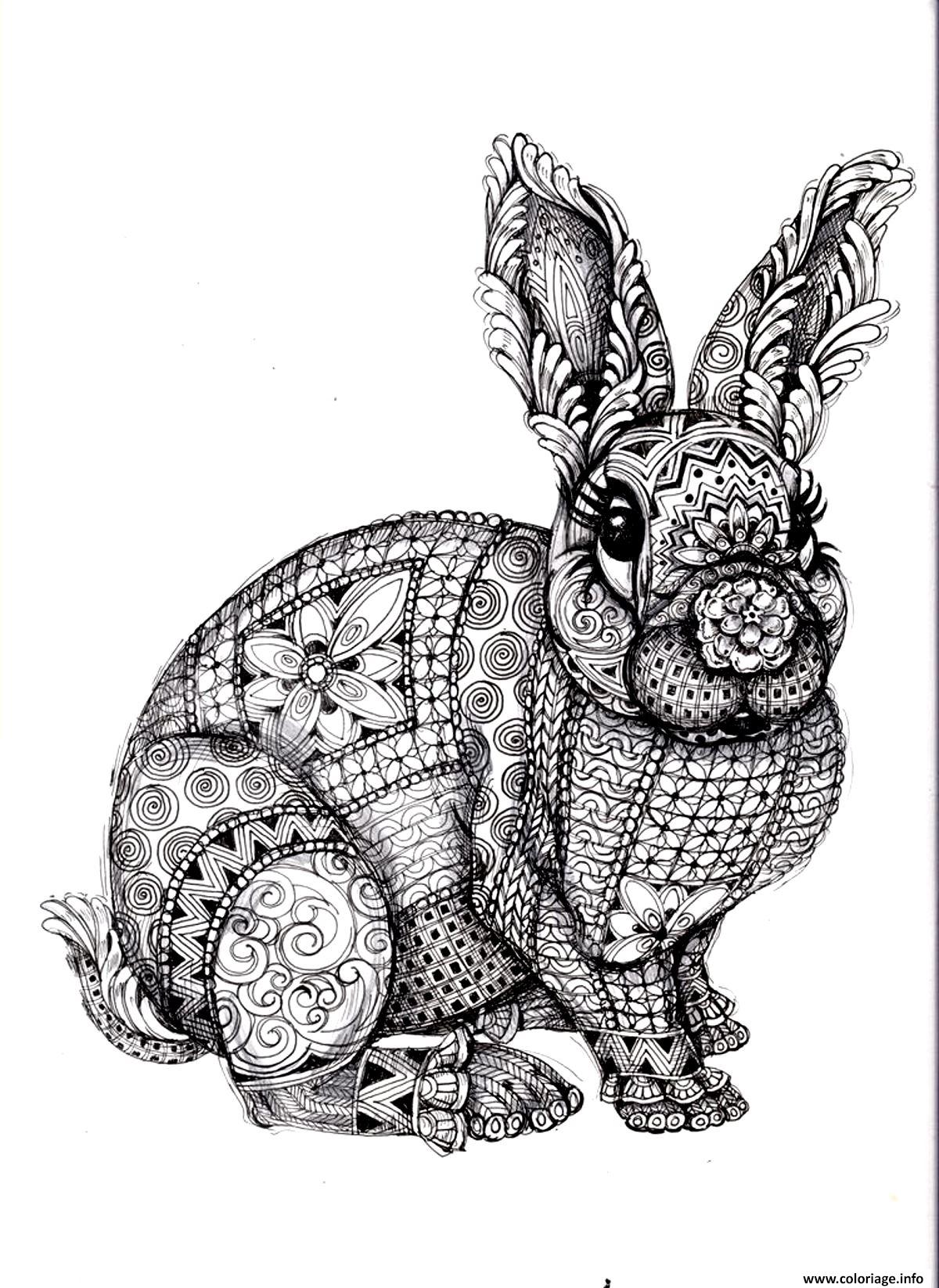 Coloriage A Imprimer De Lapin