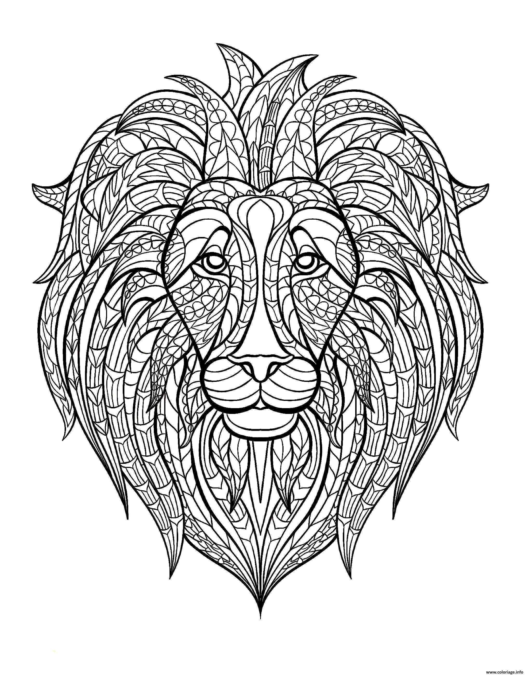 Coloriage A Imprimer De Lion