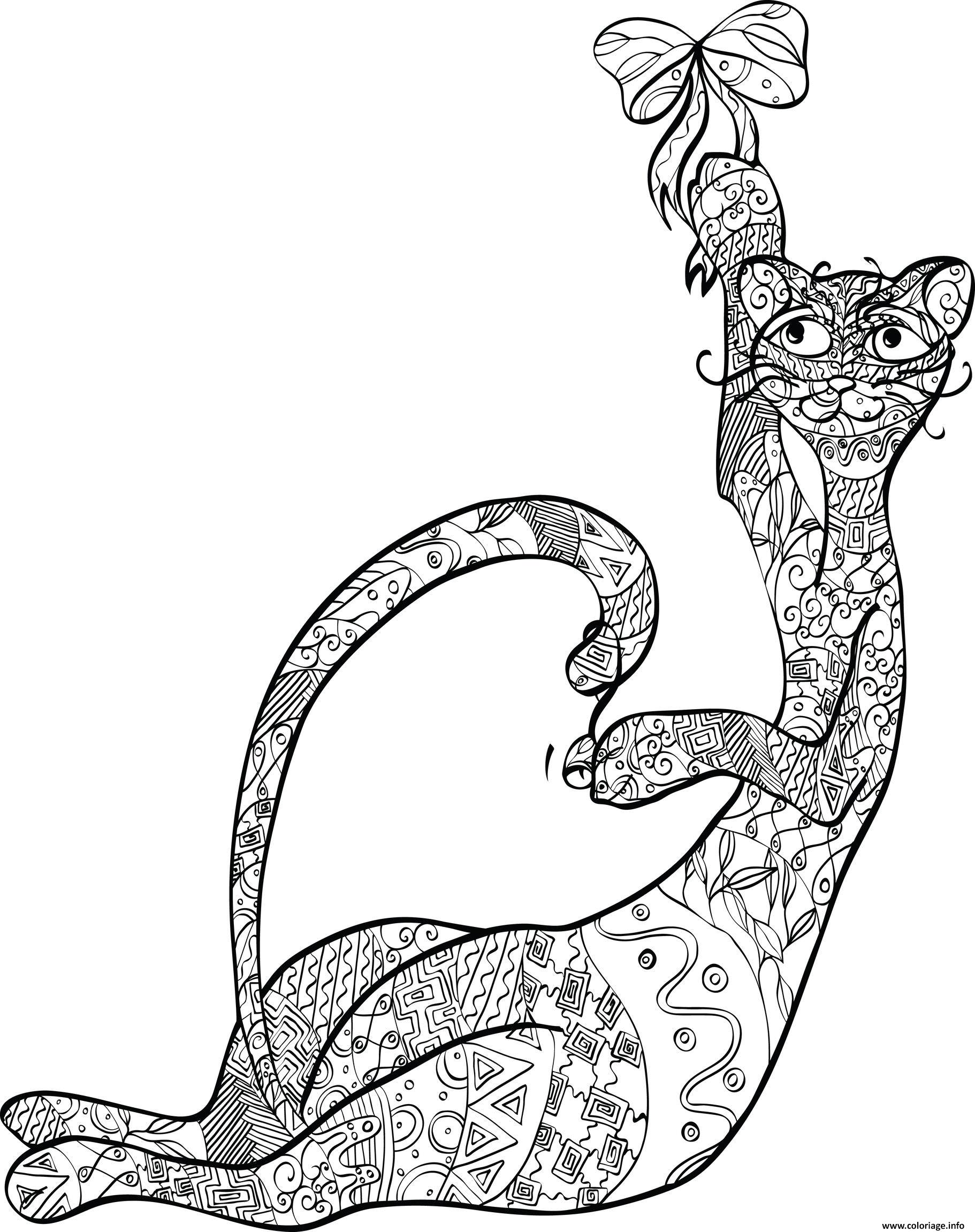 Coloriage Adulte Anti Stress Animaux Chat Dessin   Imprimer