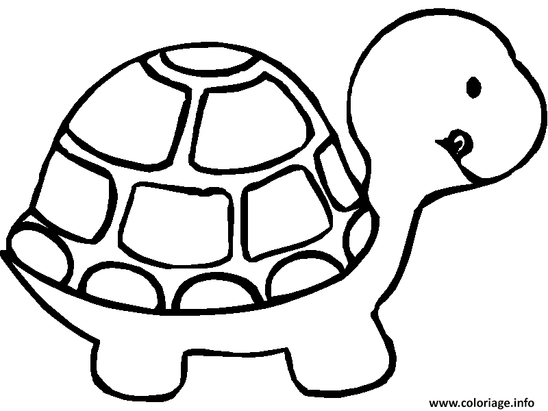 Coloriage A Imprimer D Animaux