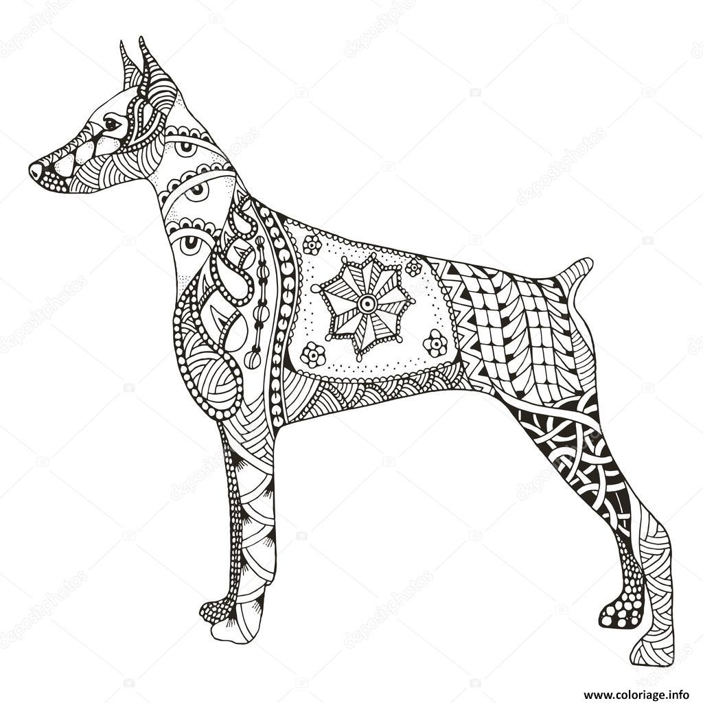 Coloriage Dog Doberman Pinscher Zentangle Adulte Animaux Dessin   Imprimer