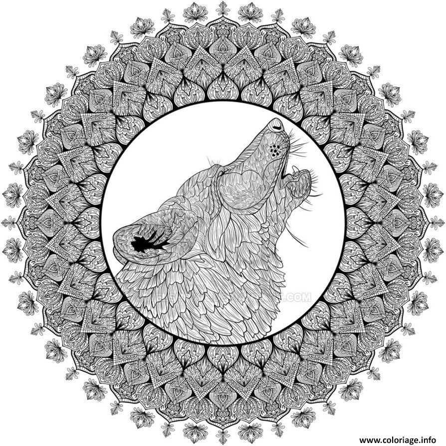 Coloriage De Loup A Imprimer Gratuit