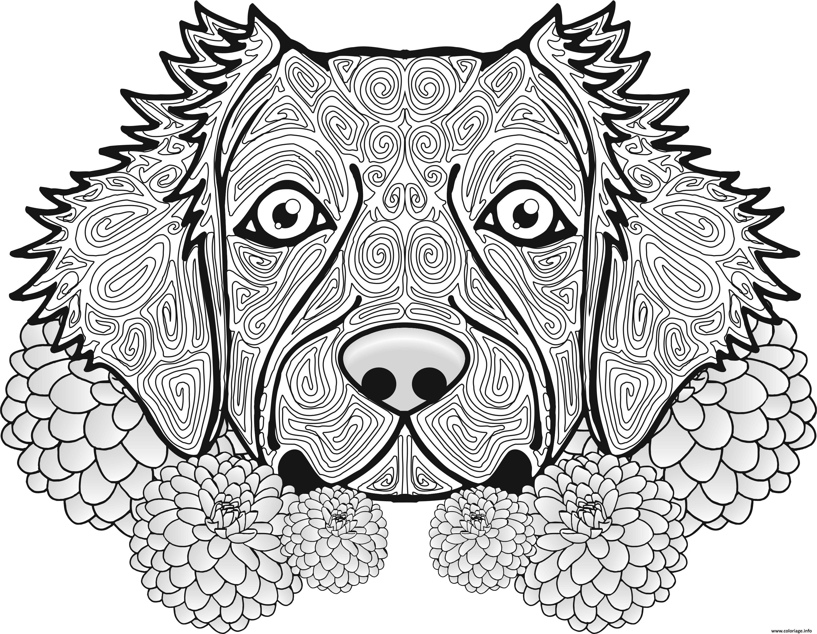 Coloriage adulte chien dog animal - JeColorie.com