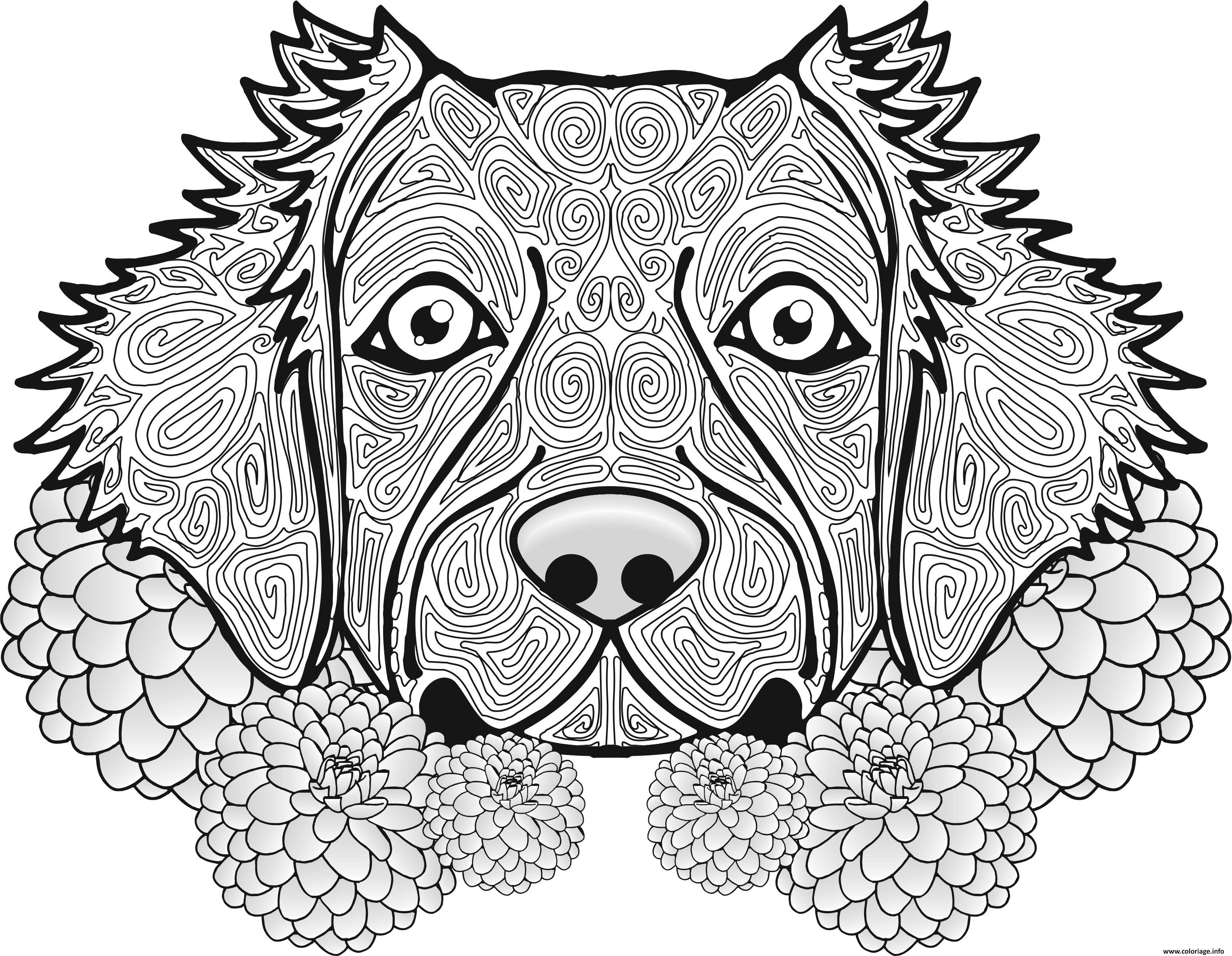 Coloriage A Imprimer Gratuit Chien