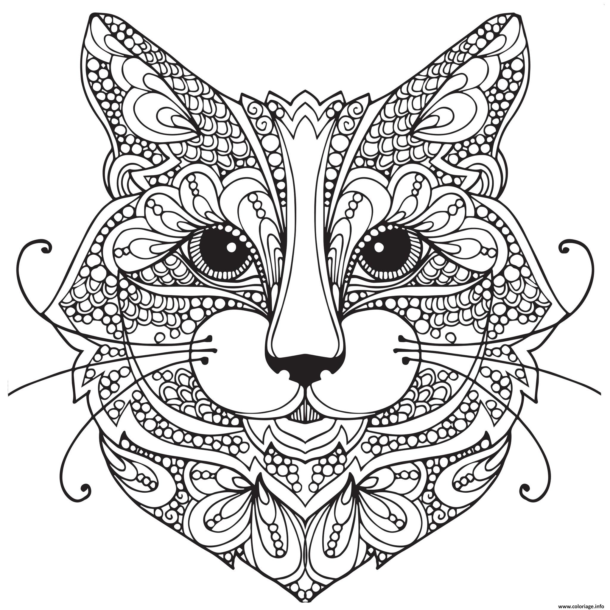 Coloriage De Chat Difficile
