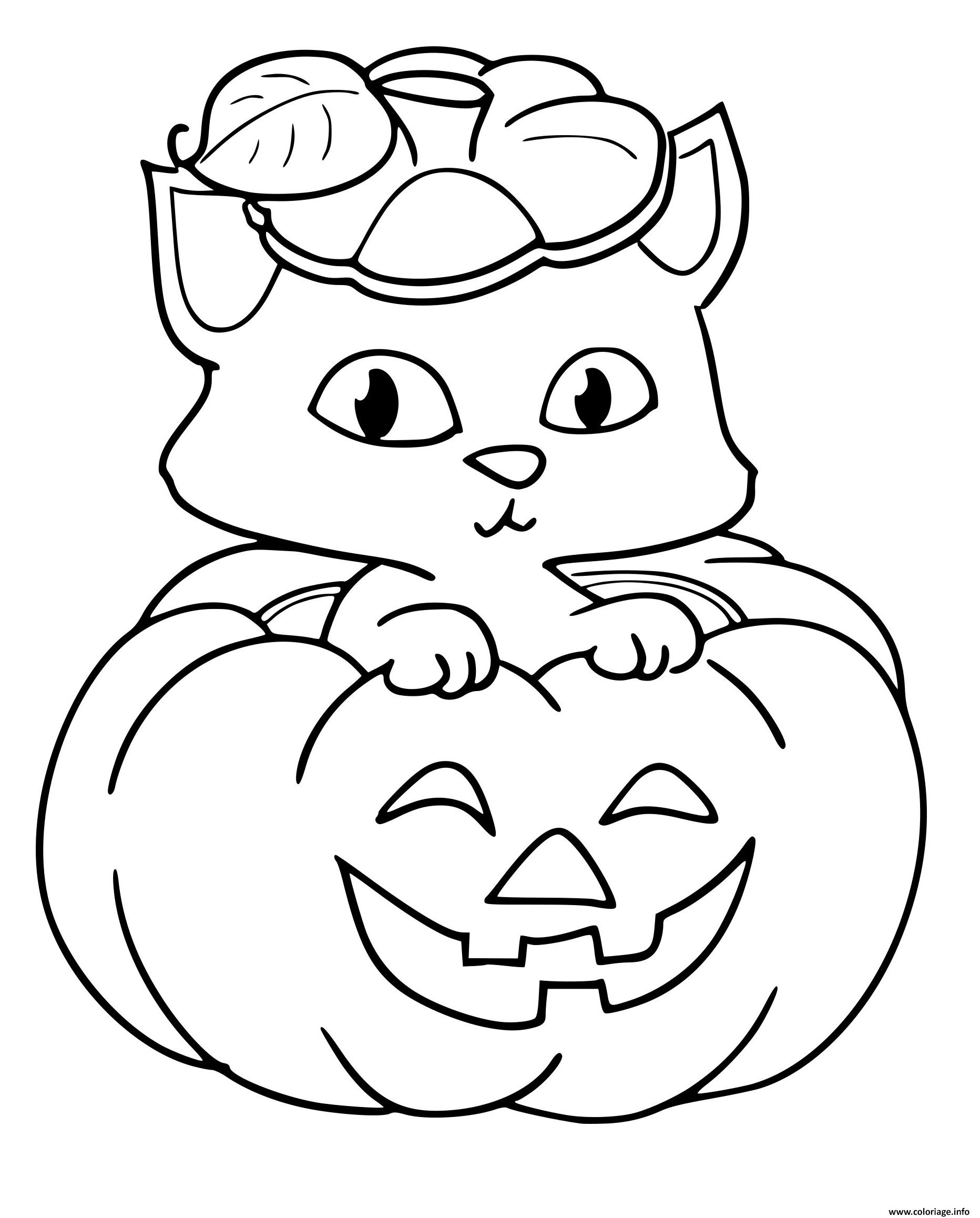 Coloriage Citrouille Chat Halloween dessin