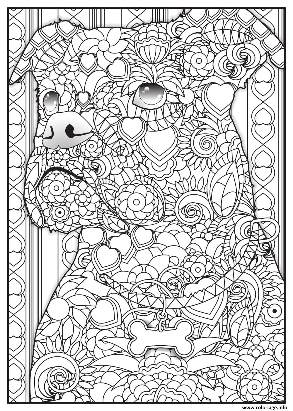Coloriage A Numero A Imprimer