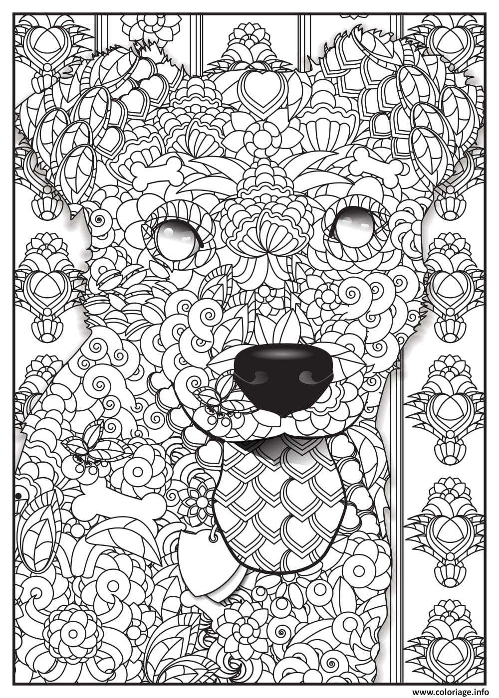 Coloriage chien beagle adulte animaux  JeColorie.com