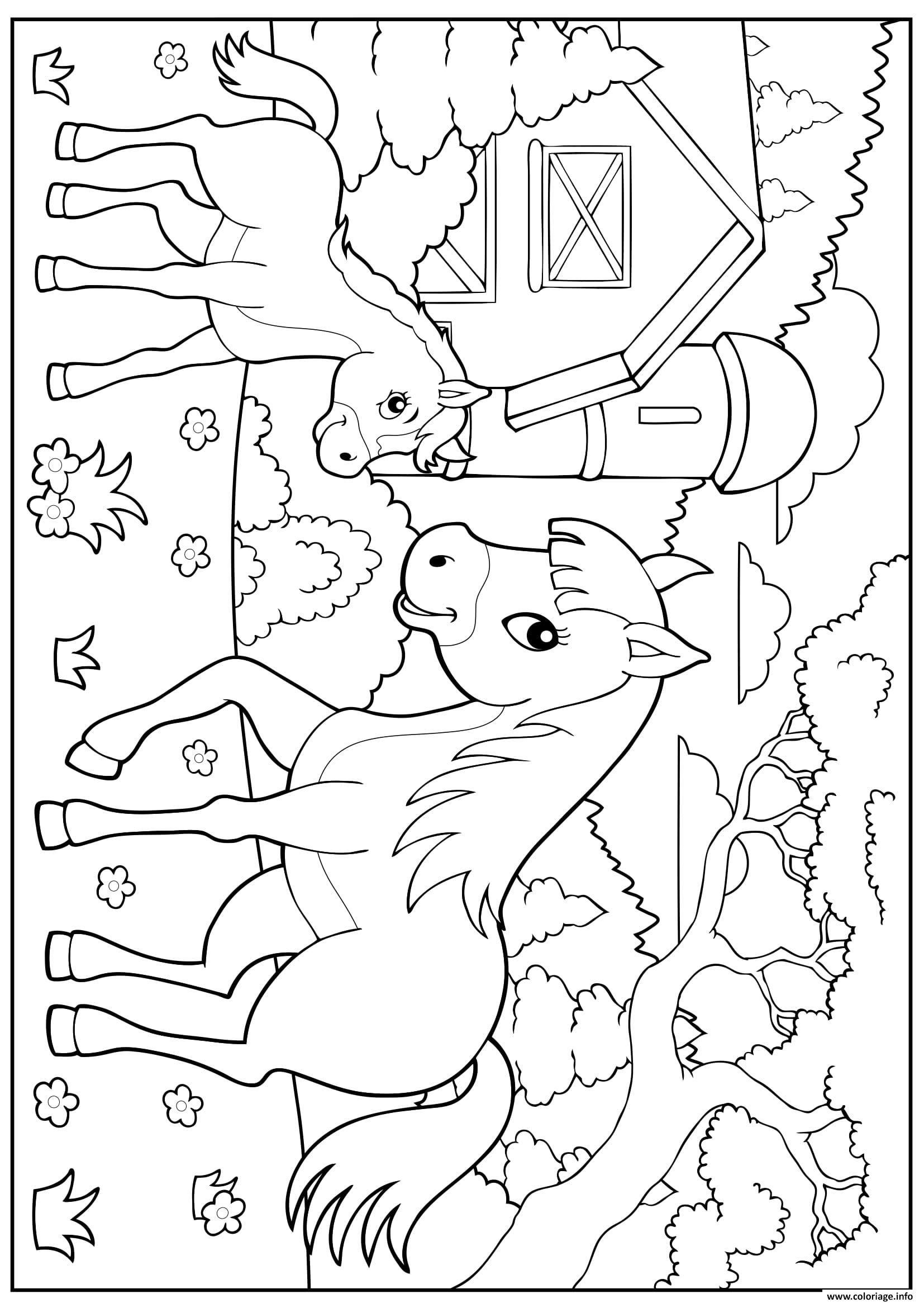 Coloriage A Imprimer Gratuit Poney