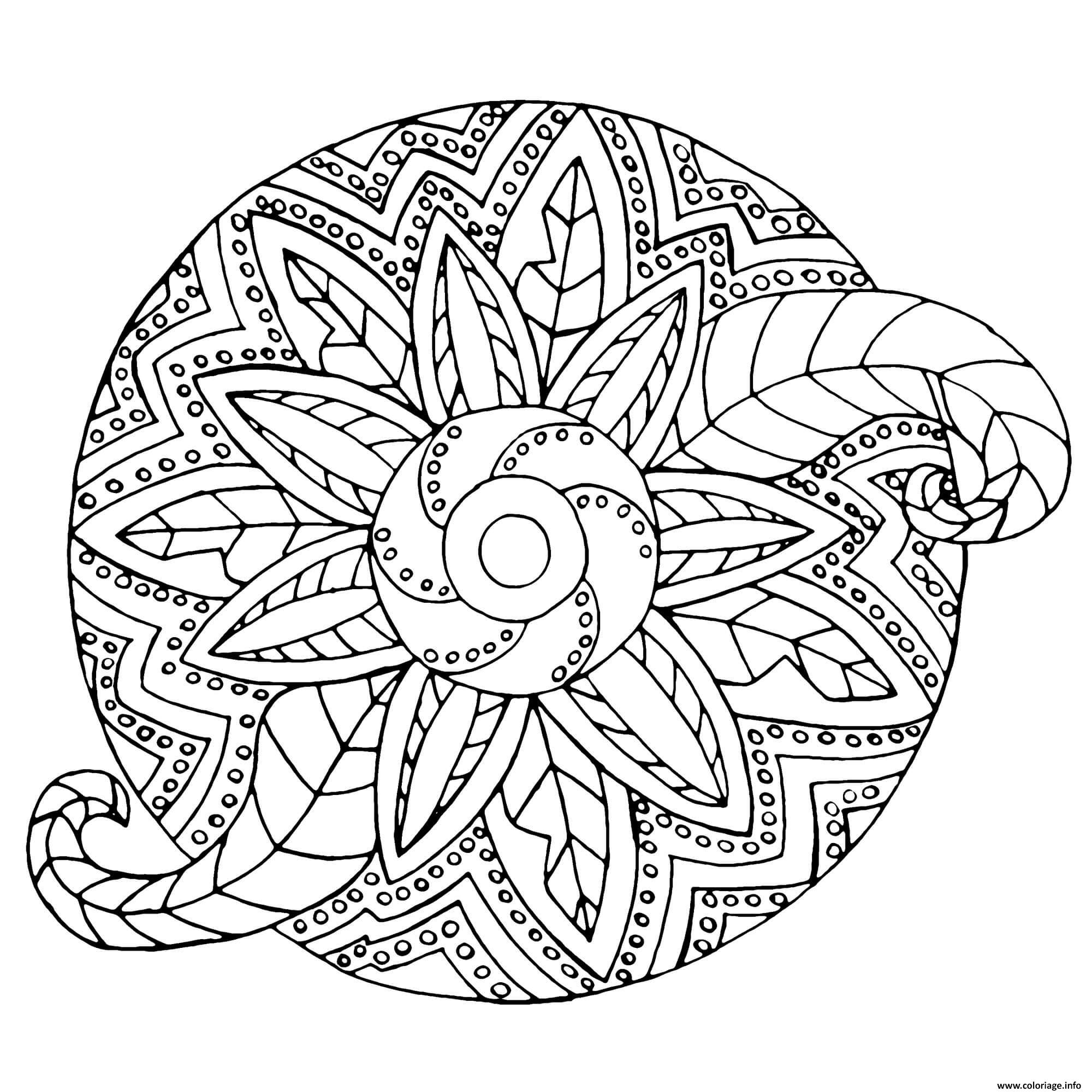 Coloriage Mandala Adulte Fleur Vegetal