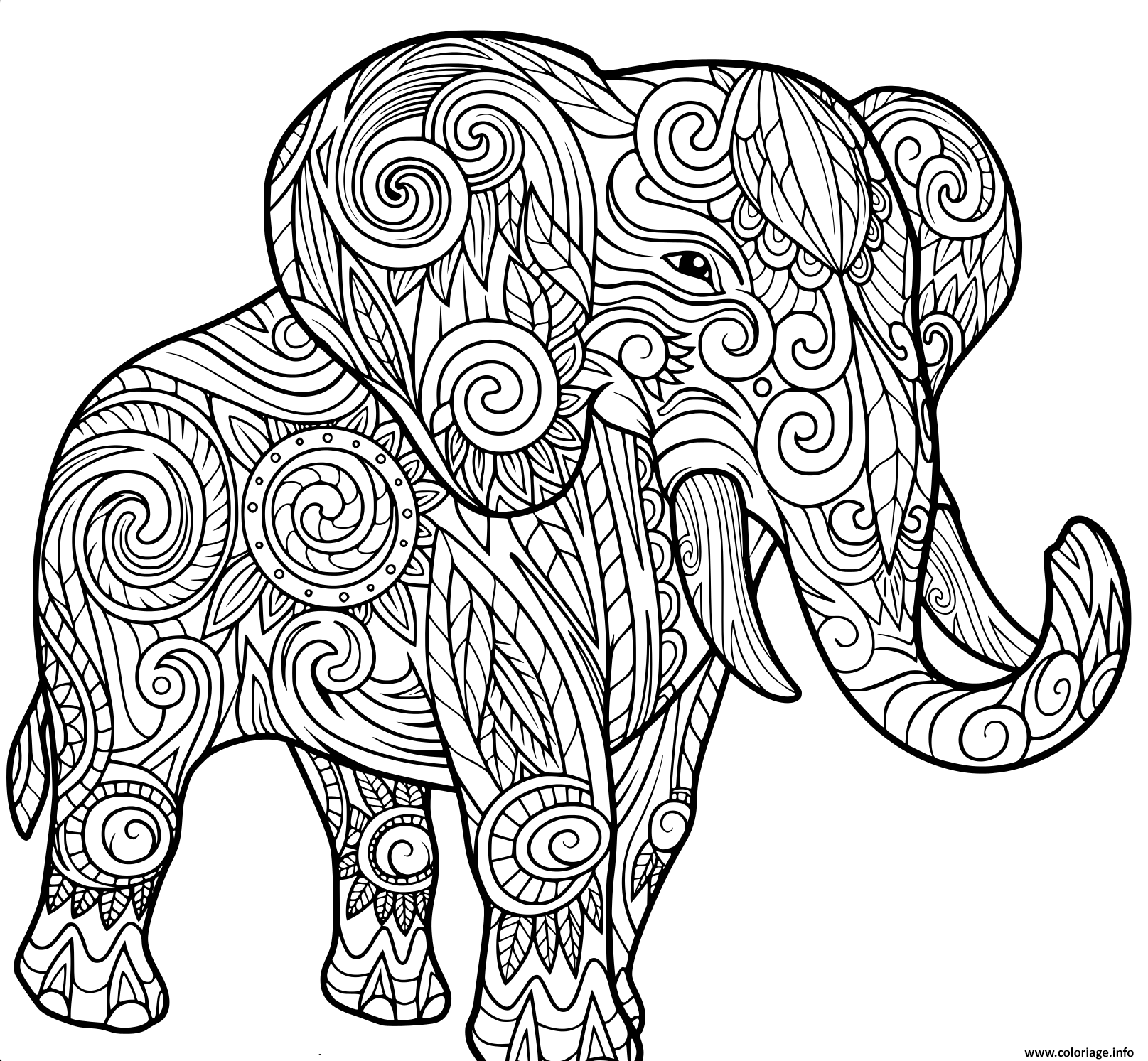 Coloriage elephant pour adulte animaux  JeColorie.com
