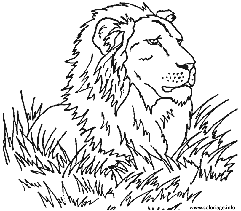 Coloriage Lion Dans La Savanne Jecolorie Com