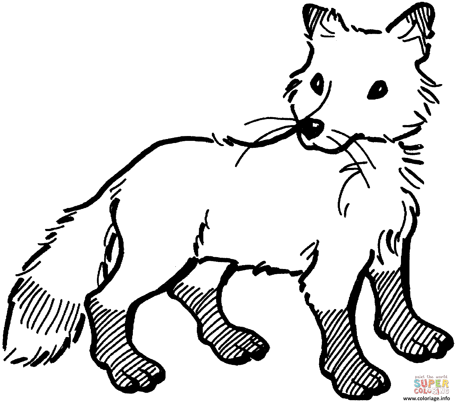 Coloriage bebe renard roux fox  JeColorie.com