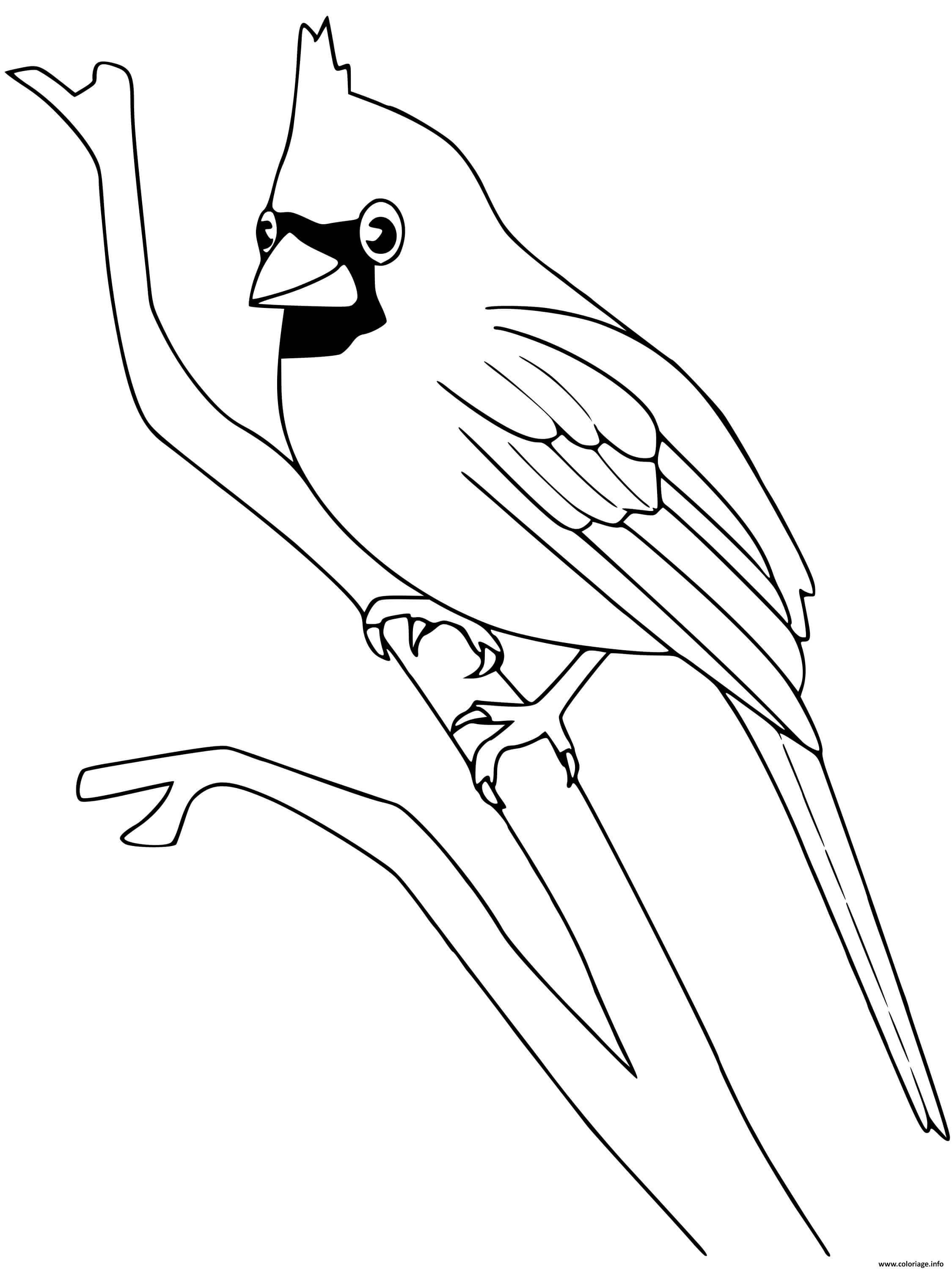Coloriage Cardinal Oiseau JeColorie