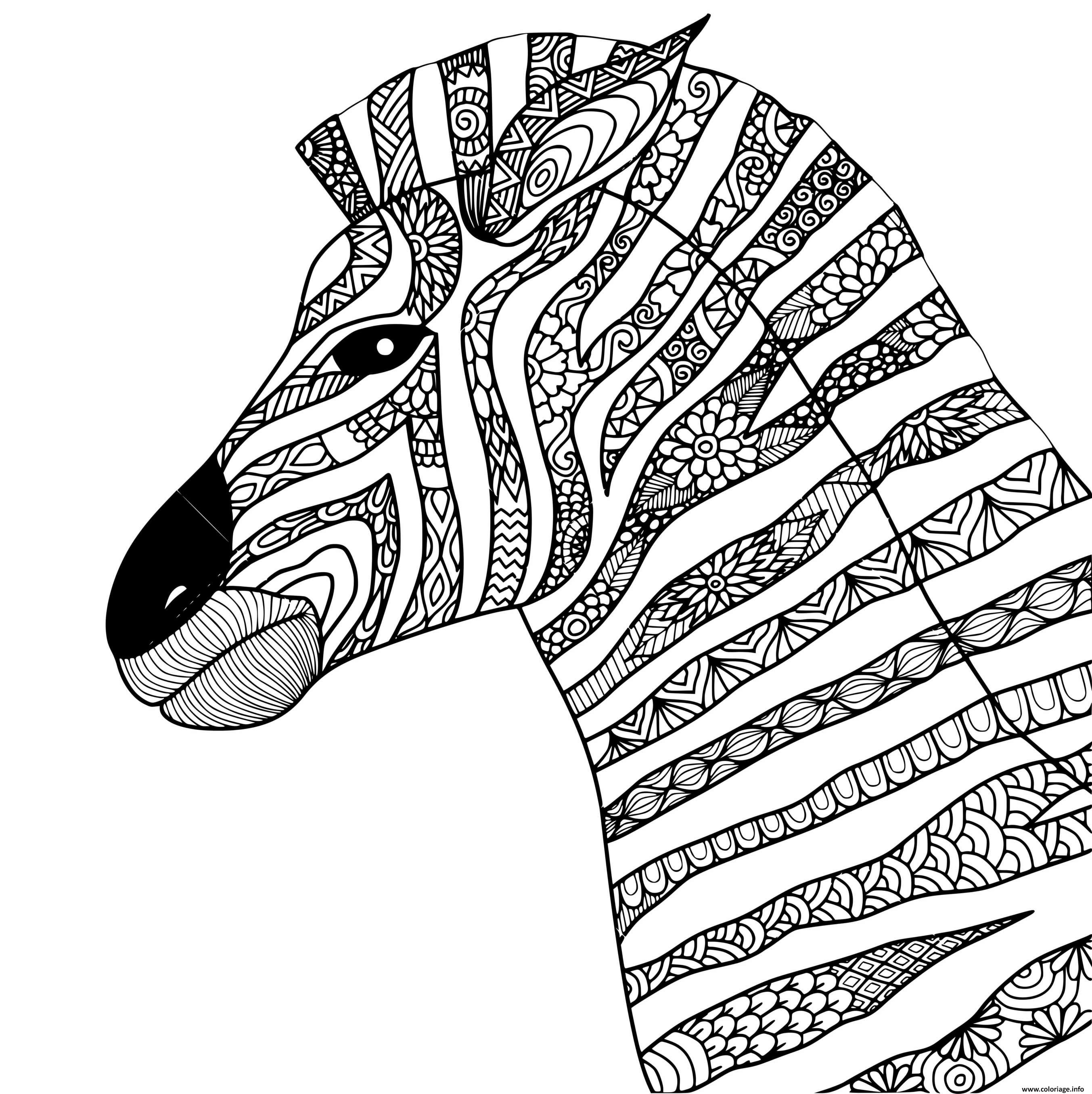 Coloriage mandala animaux style zentangle zebre  JeColorie.com