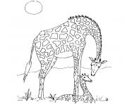 giraffe dessin à colorier