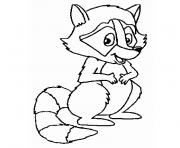 Coloriage dessin animaux raton laveur racoon dessin