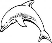 Coloriage dauphin bleu dessin