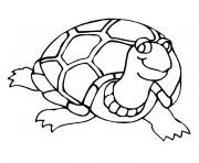 bebe tortue dessin à colorier