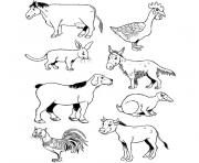 animaux imaginaires dessin à colorier