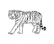 animaux tigre dessin à colorier