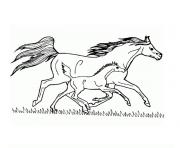 cheval grand galop dessin à colorier