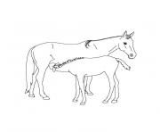 Coloriage cheval cavalier dessin