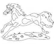 cheval et chien dessin à colorier