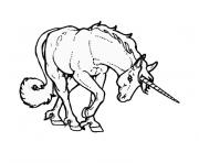 chevaux et licorne dessin à colorier