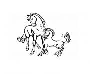chevaux et poulain dessin à colorier